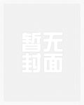 【银魂乙女】养猫记得先绝育
